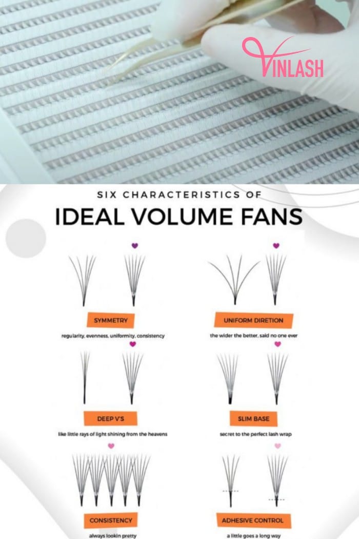 6 factors to consider when choosing a reliable lash supplier in Australia