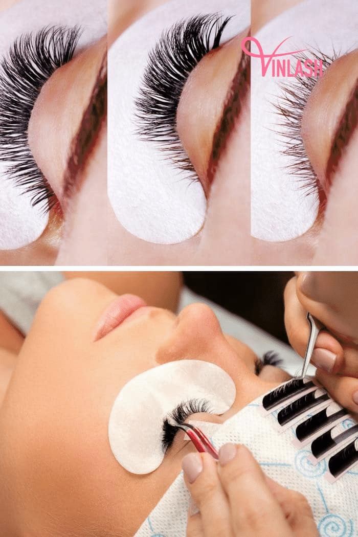 Tactics for Eyelash Technicians to Ensure the Curl of the Eyelash Extensions