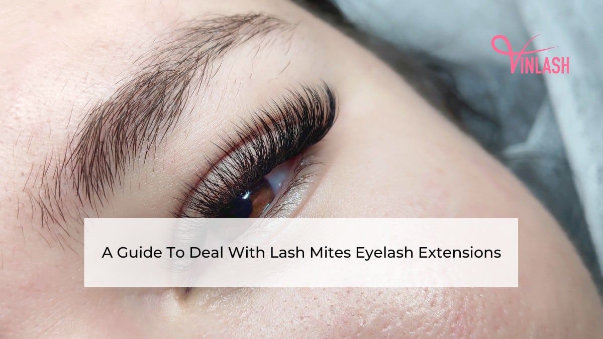 A Guide To Deal With Lash Mites Eyelash Extensions