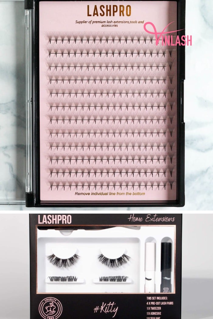 LashPro emerges as a steadfast and trustworthy partner
