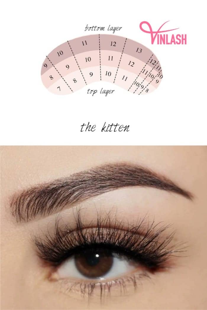 Lash Map For Kitten Eye Eyelash Extensions