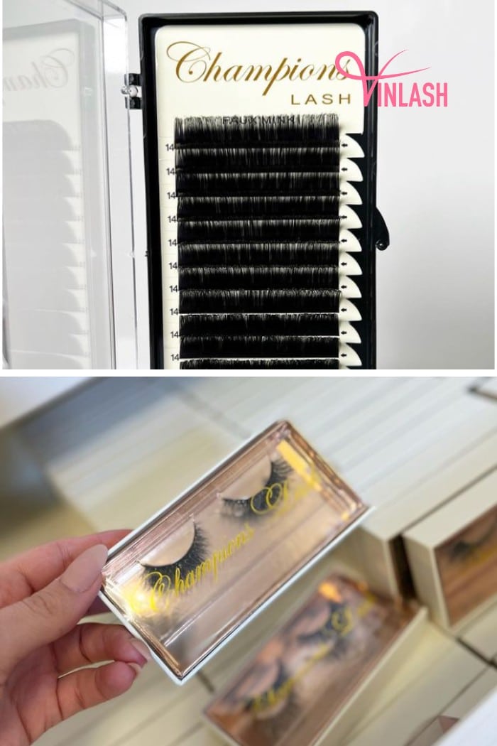 Champion Lash emerges as a prominent player of eyelash extensions wholesale Sweden in the beauty landscape
