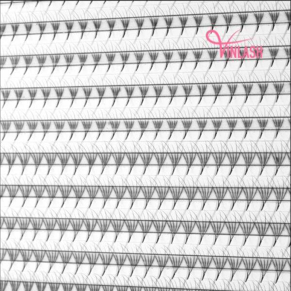 Camellia pre-made fans single-color box L 20 lines VLV045-8