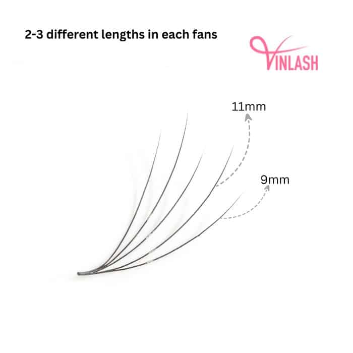 Camellia pre-made fans black box L 20 lines VLV041-2