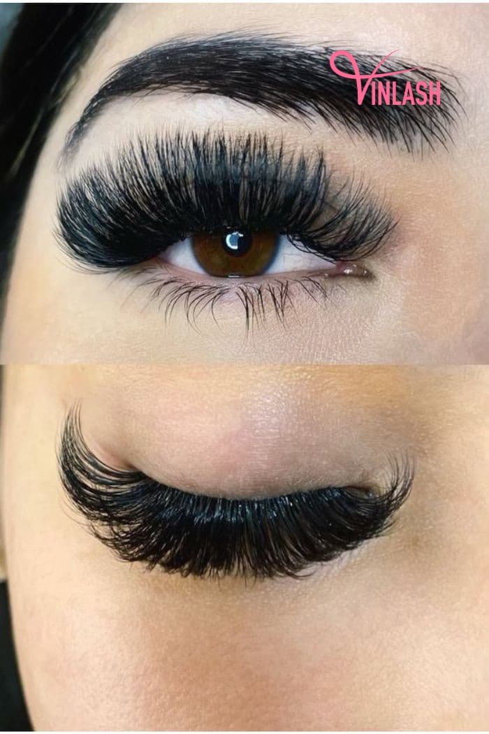 How to apply mega volume lash extensions
