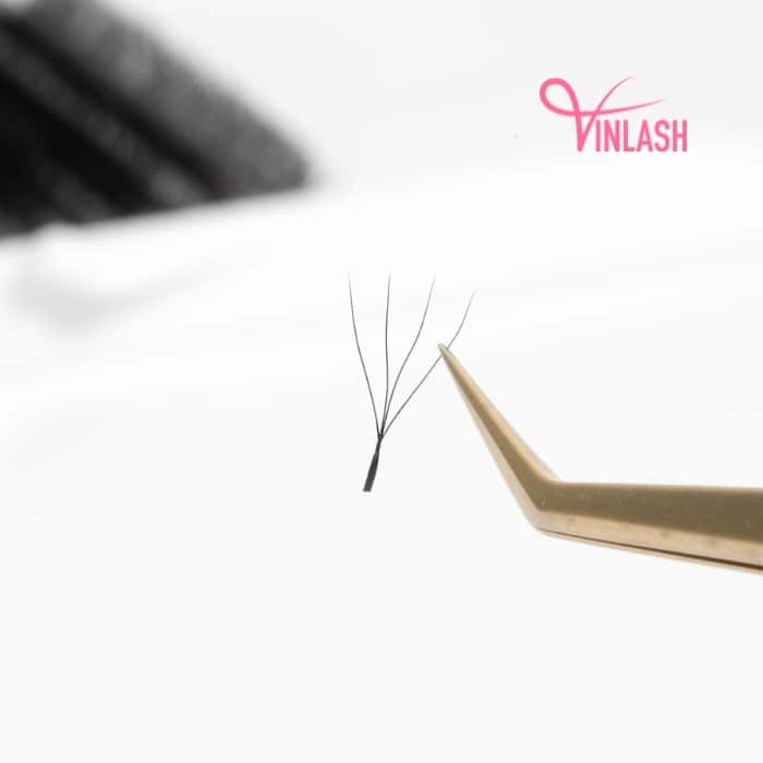 4D W clover eyelash extensions black 16 lines VLV064-6