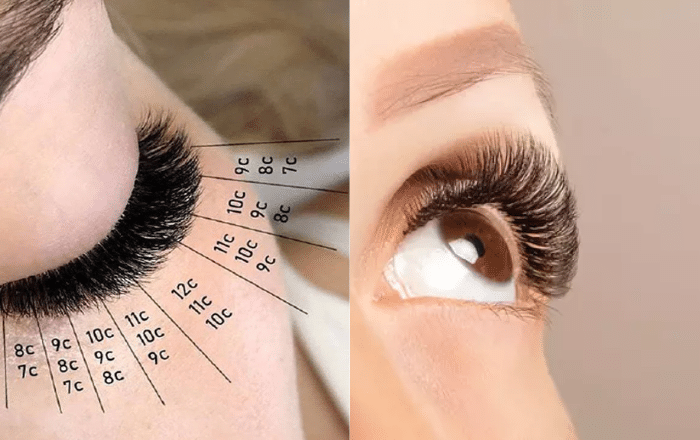 Understanding Lash Mapping