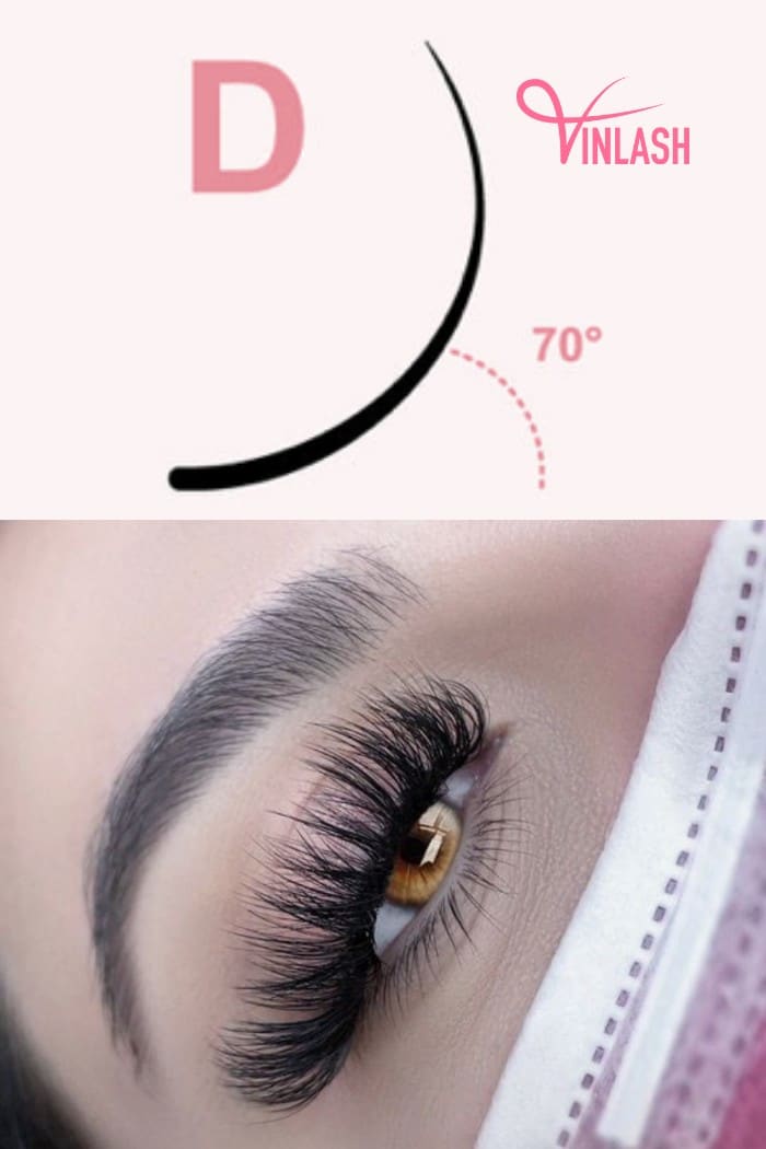 What are D curl lashes?