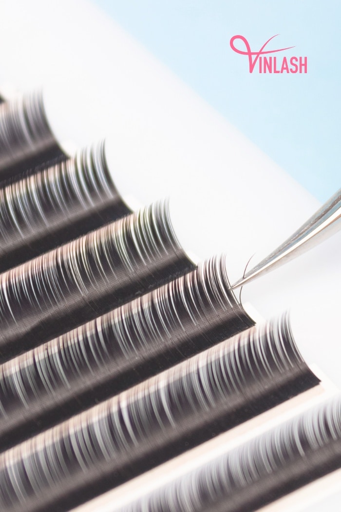 top-10-best-lash-trays-to-not-miss-in-2024-9