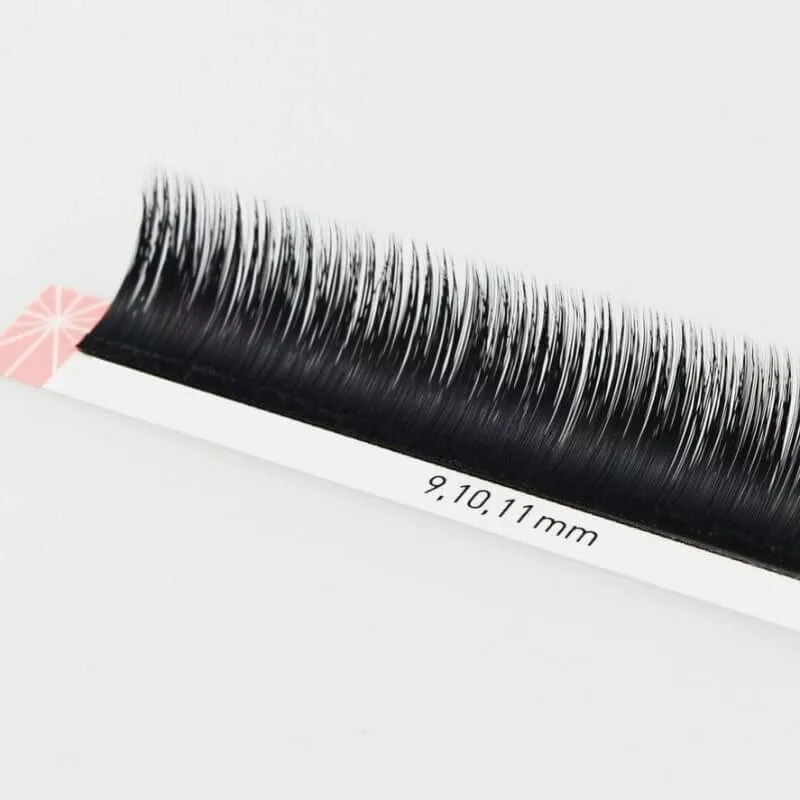 Camellia Lash Extensions