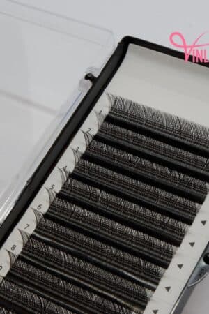 4D W clover eyelash extensions black 16 lines VLV064-5