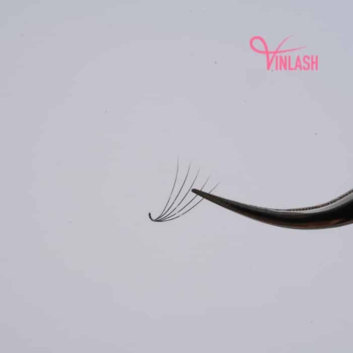 Pre-made fans 3D to 20D black box L 20 lines VLV001-10