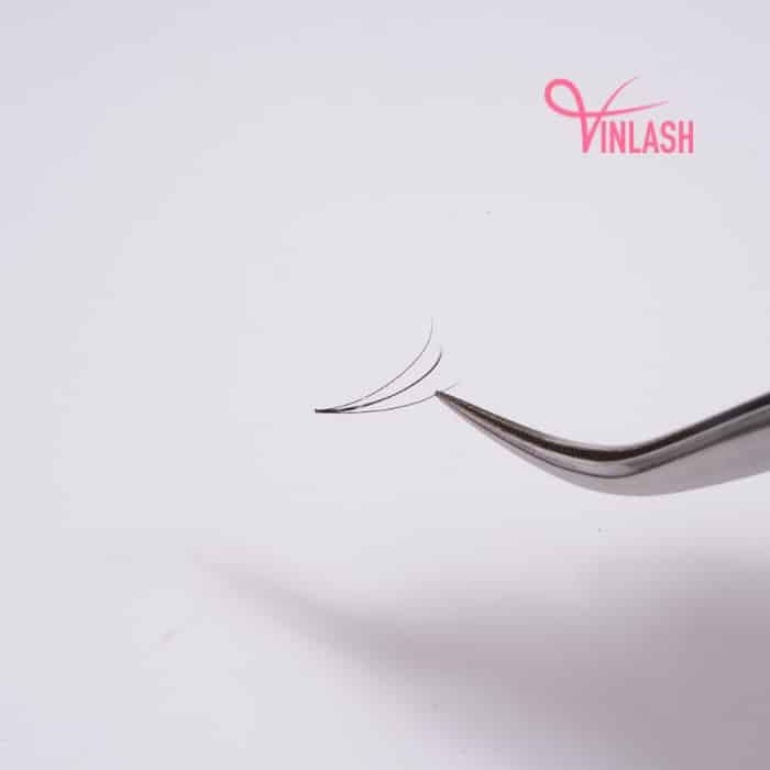 Special spike camellia pre-made fans black box L 20 lines VLV051-8