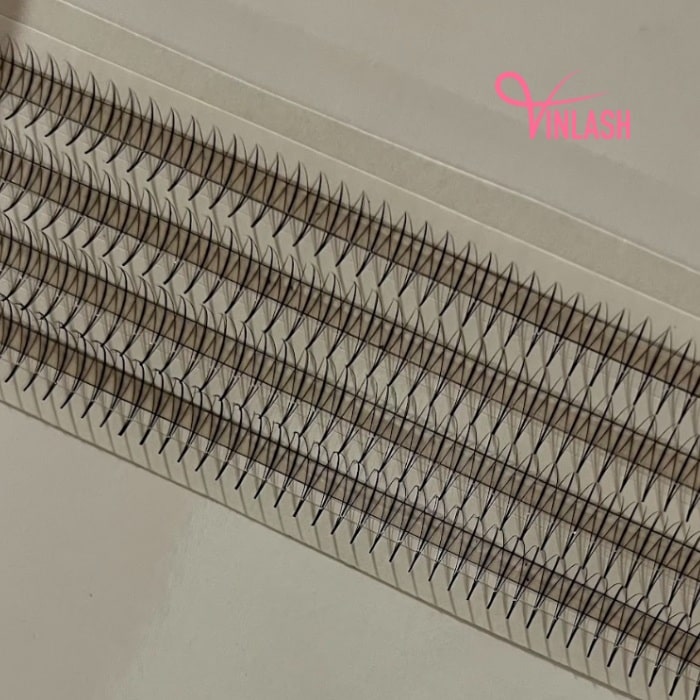 Special spike camellia pre-made fans single-color box L 20 lines VLV055-4