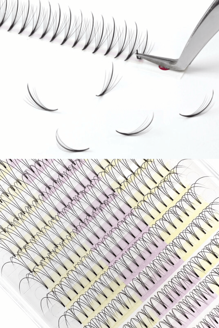 Common types of different lash fans