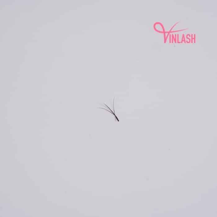 Spike W eyelash extensions black 16 lines VLV065-4