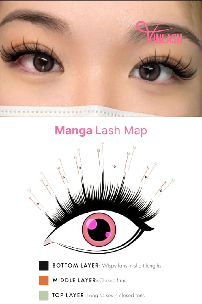 Lash Map For Manga Eyelash Extensions