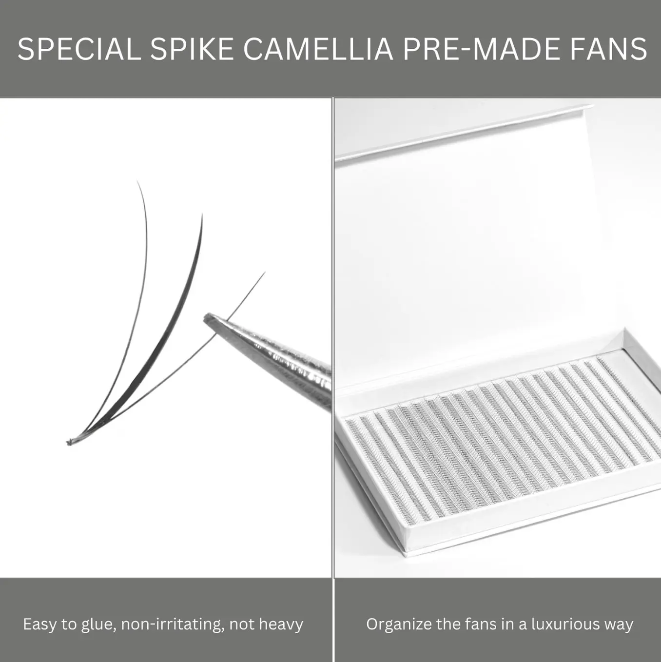 Special Spike Camellia Premade fans