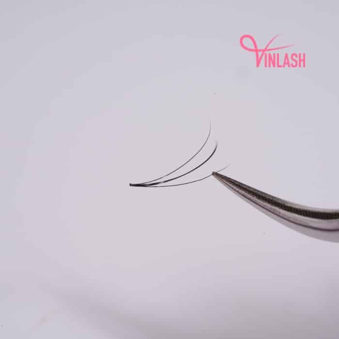 Special spike camellia pre-made fans black box L 20 lines VLV051-7