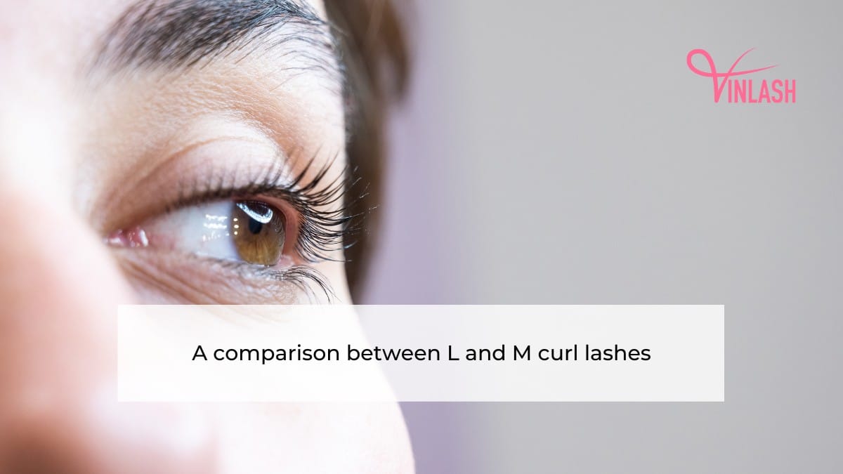a-comparison-between-l-and-m-curl-lashes
