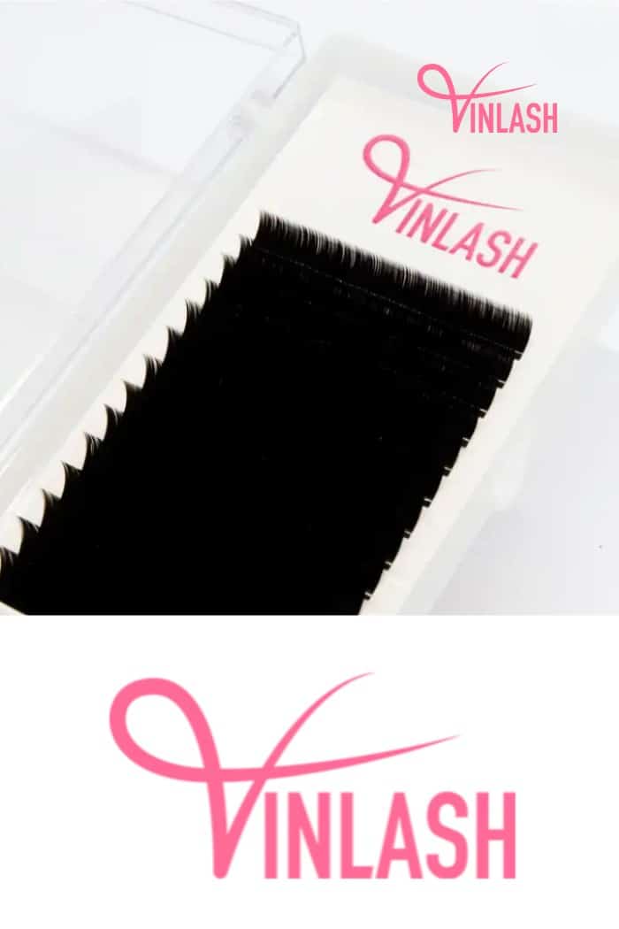 Vinlash emerges as the definitive solution for lash businesses