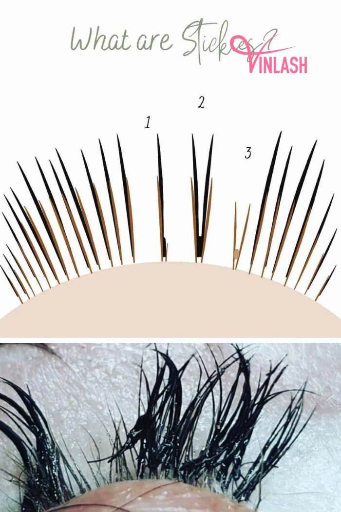 what-are-lash-stickies-and-tips-to-avoid-them-for-lash-tech-1