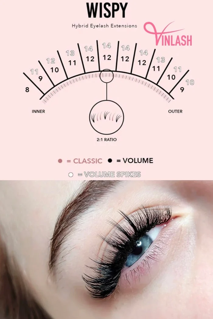 Explore what is wispy lash map