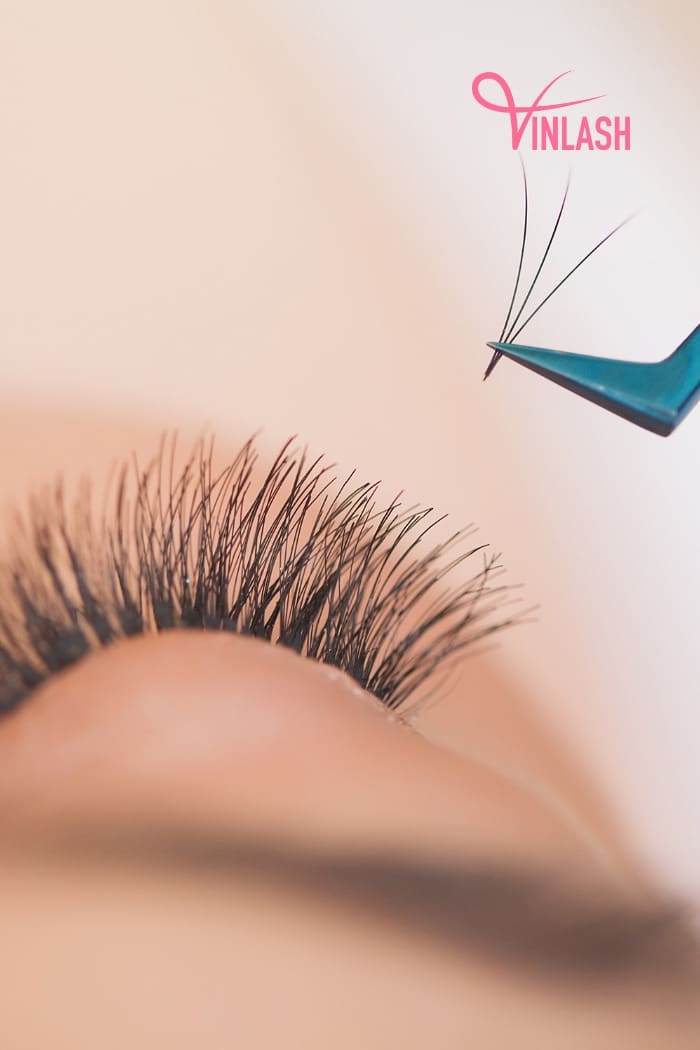6-golden-rules-for-correct-lash-extension-placement-1