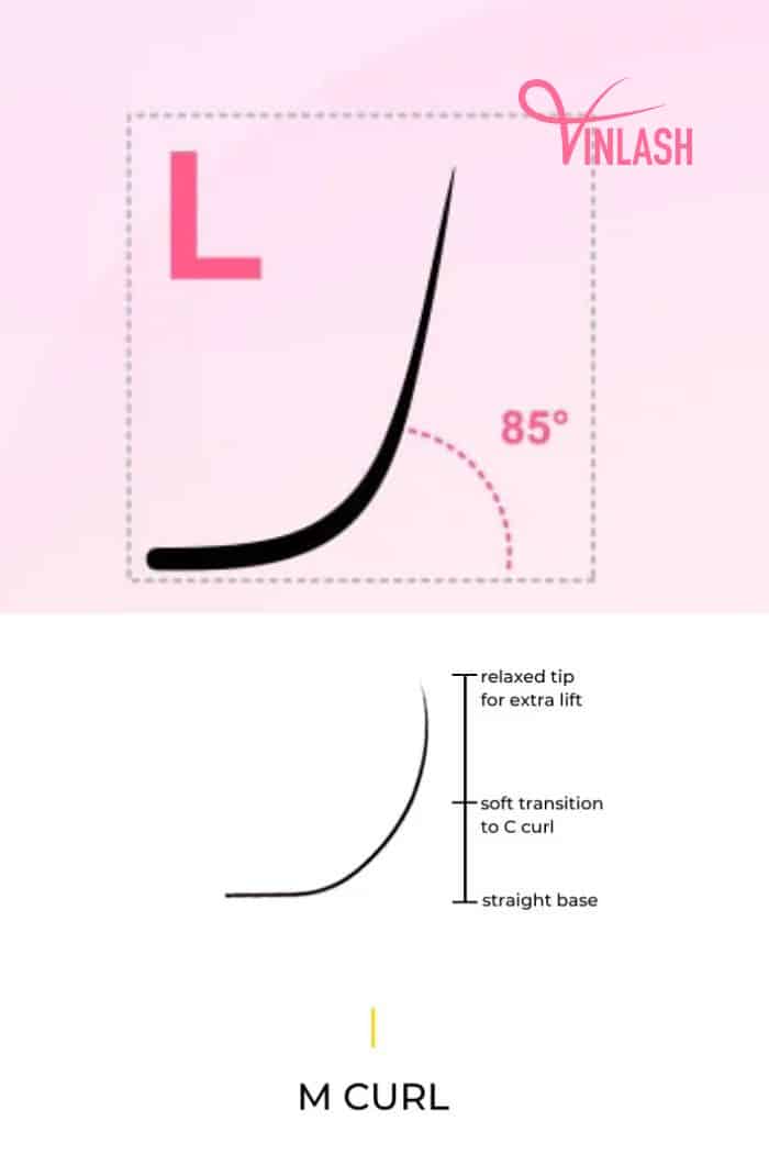 The difference between L curl lashes vs M curl lashes
