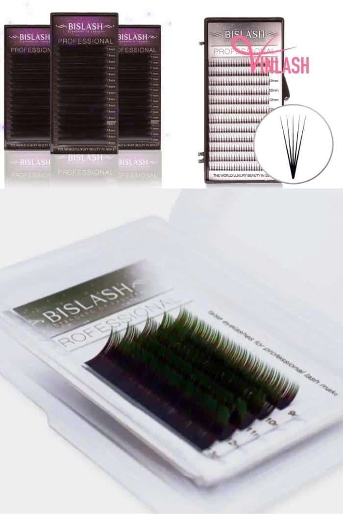 Bislash, a professional Korean beauty manufacturer since 2009