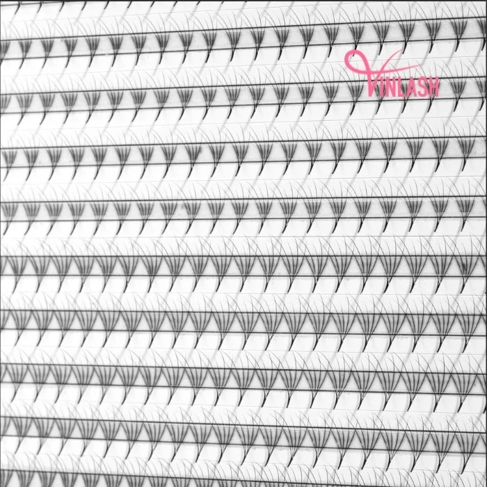 Camellia pre-made fans single-color box L 20 lines VLV045-8
