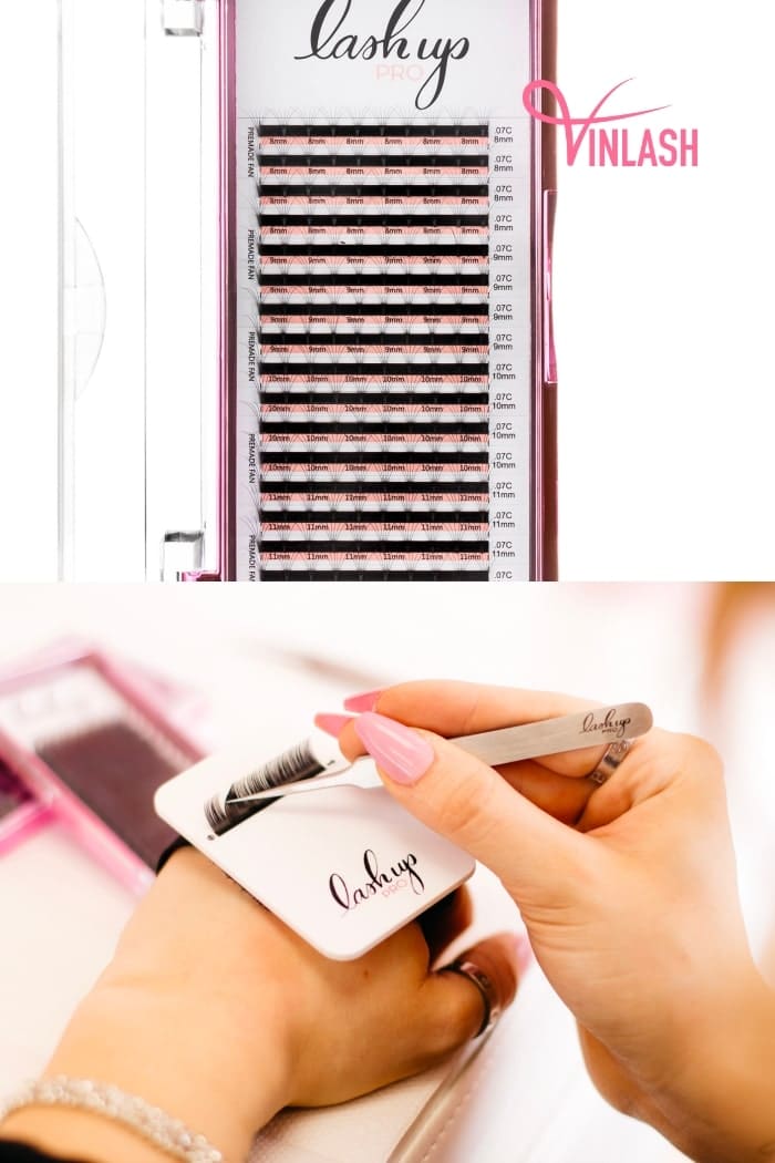 Lash Up PRO takes the spotlight as a leading Canadian provider