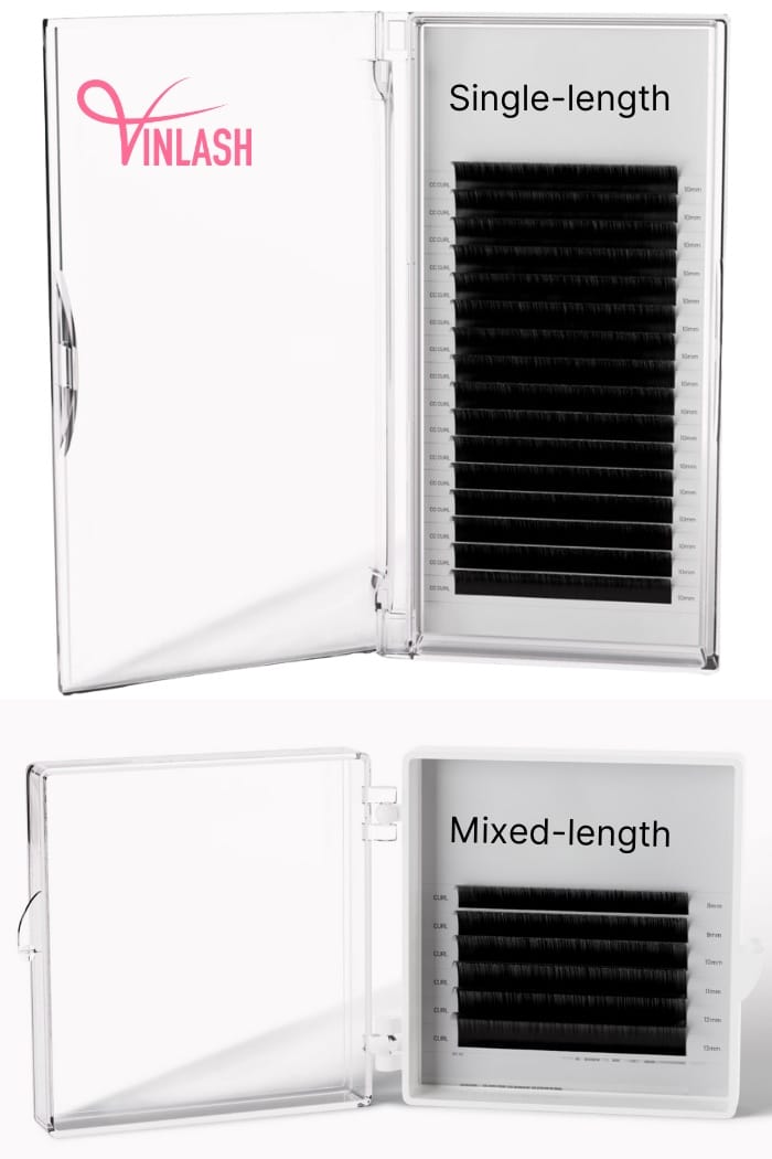 top-10-best-lash-trays-to-not-miss-in-2024-4