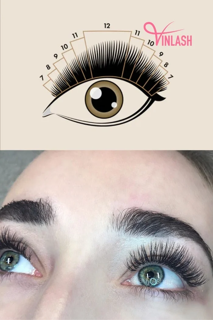 Achieving the captivating doll eye allure relies significantly on the precision of lash mapping