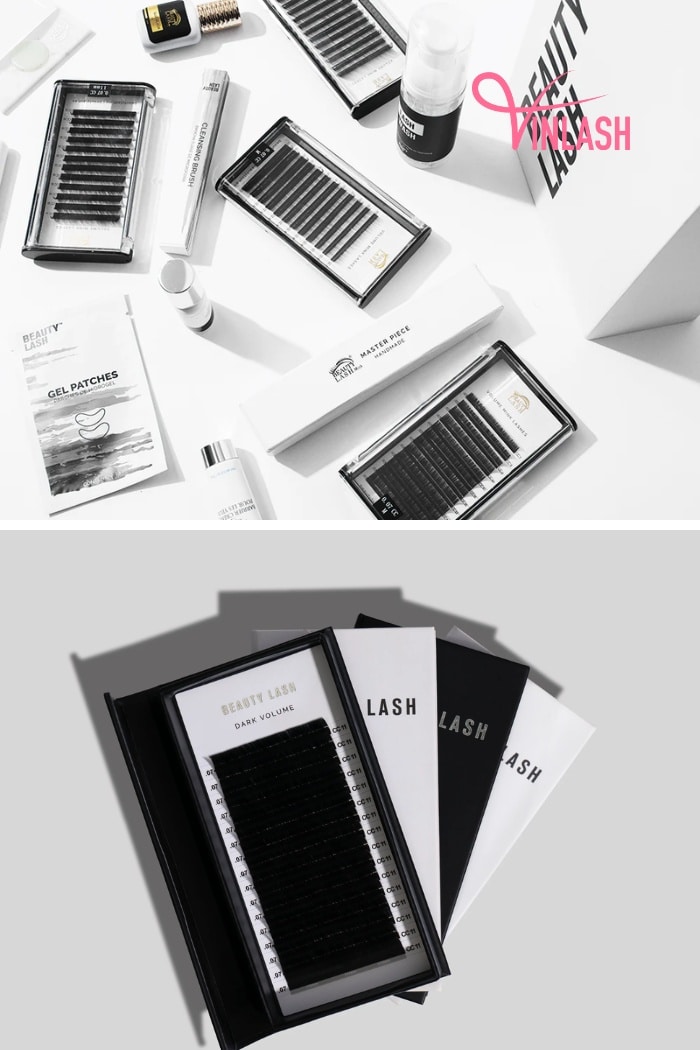 Beauty Lash stands as a beacon of beauty in the Mexican landscape