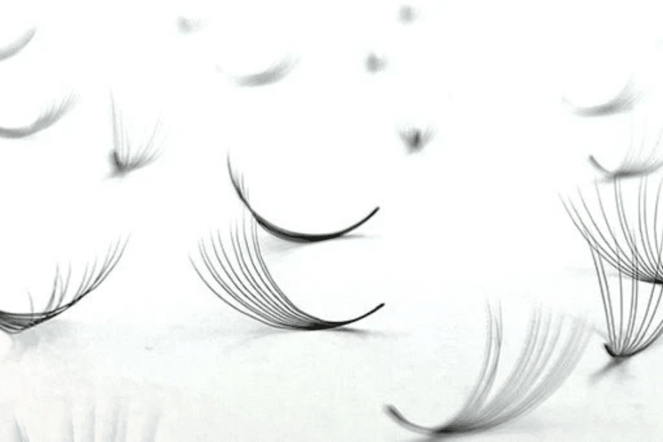 Understanding different lash fans and how to choose