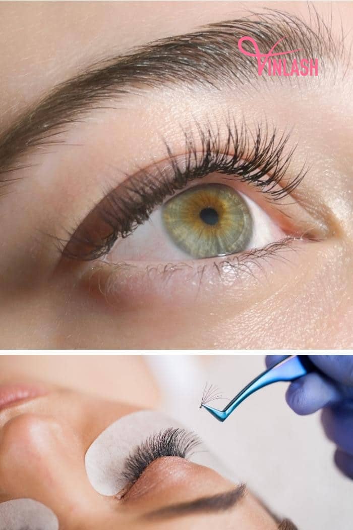 Arison, a leading player in the lash industry