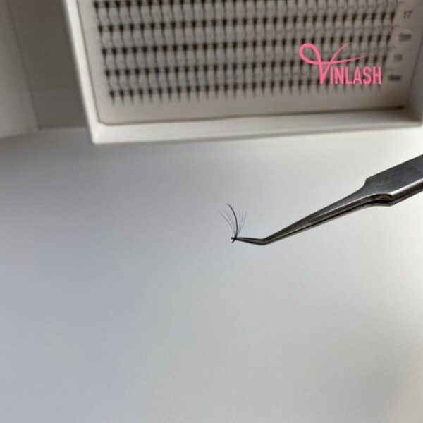 Wispy eyelash extensions single-color box L 20 lines VLV035-4