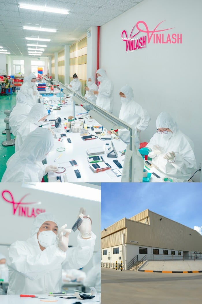 Vinlash emerges as the pinnacle global source for wholesale in the UAE