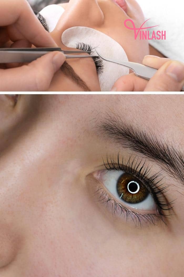 PT. Tigaputra Abadiperkasa, a notable name among Indonesian eyelash extension suppliers