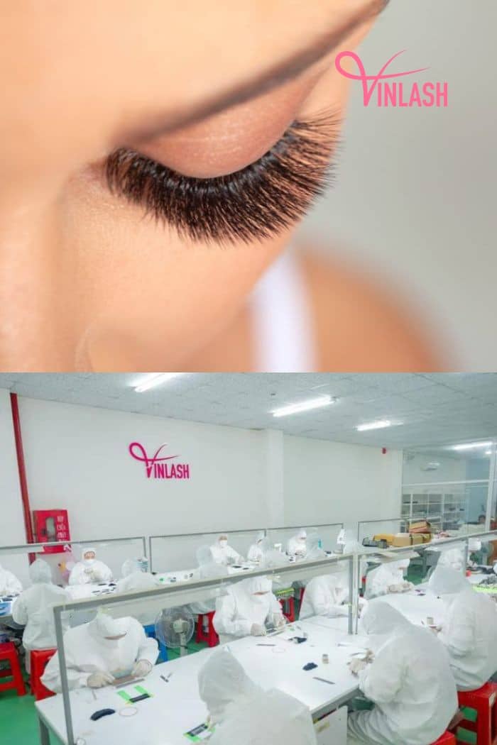 how-to-become-a-lash-tech-in-florida-requirements-and-success-tips-3