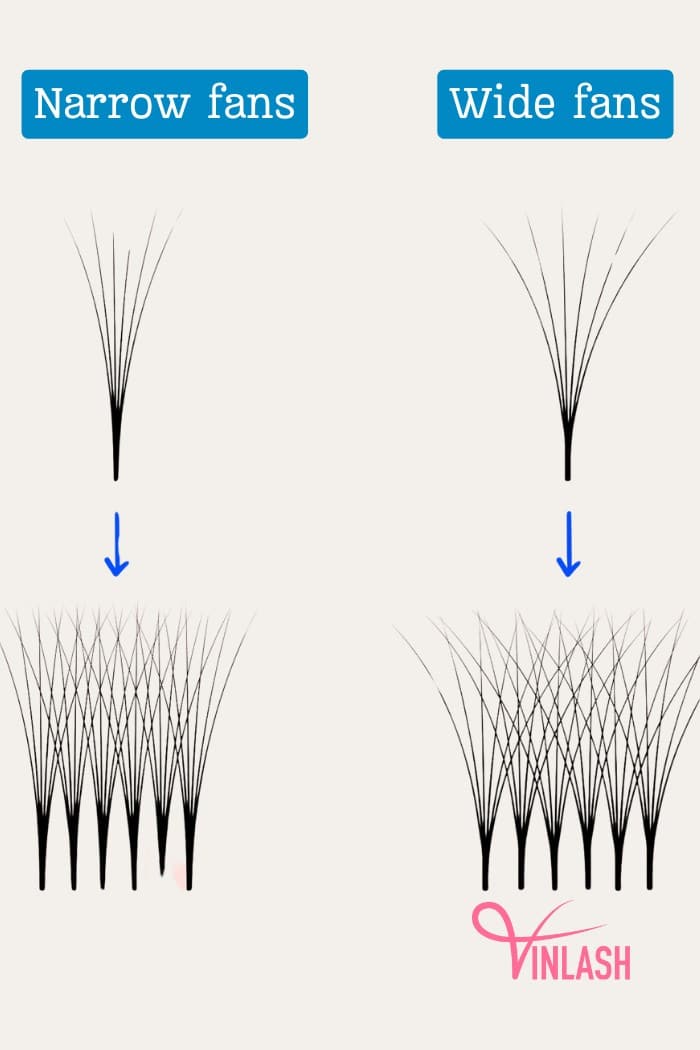 Comparing Narrow Fans vs Wide Fans