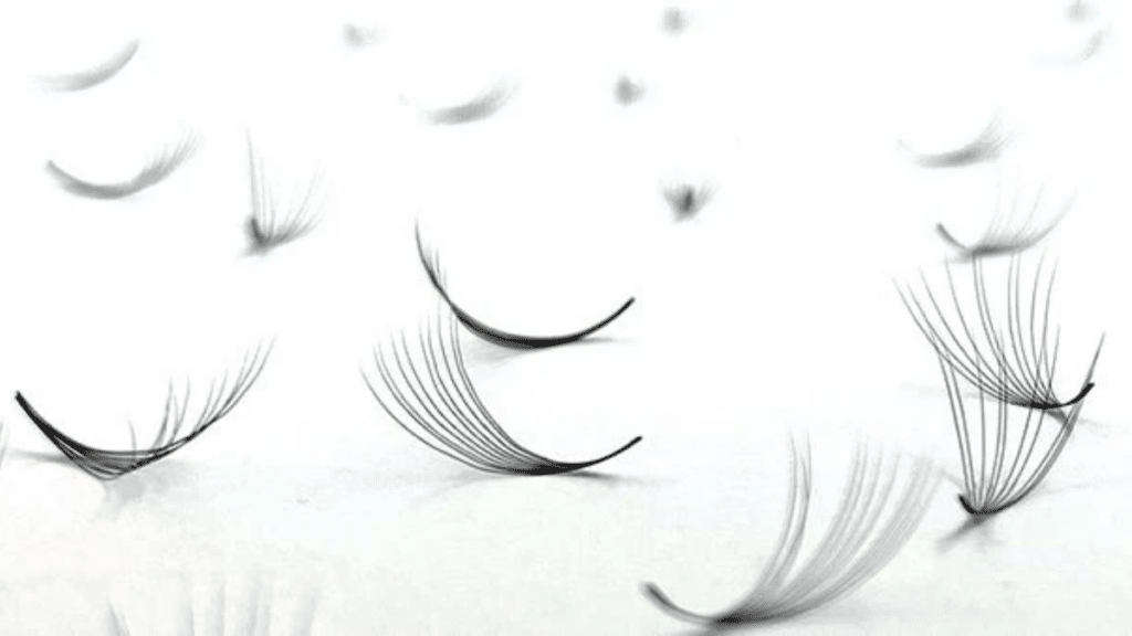 Understanding different lash fans and how to choose