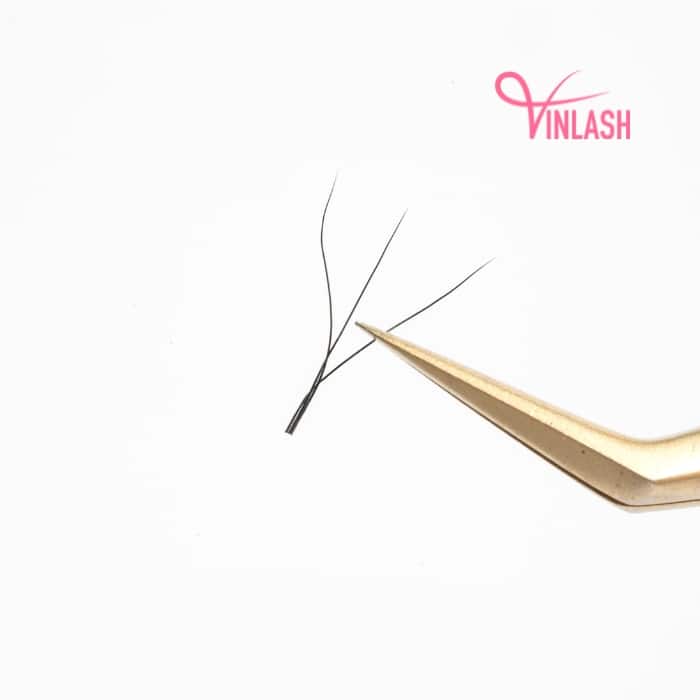 3D W clover eyelash extensions black 16 lines VLV063-4