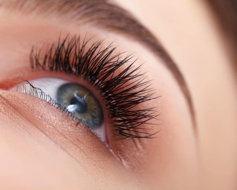 Eyelash-growth-cycle-2
