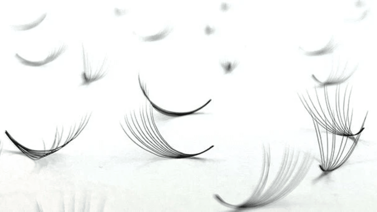 Understanding different lash fans and how to choose