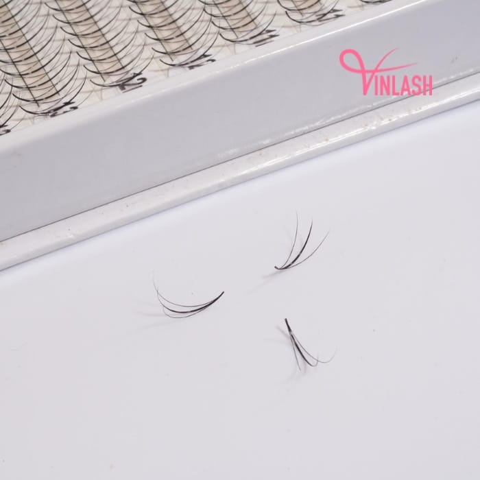 Wispy eyelash extensions black box L 20 lines VLV031-6