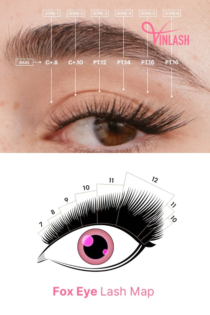 Fox Eye Lash Map