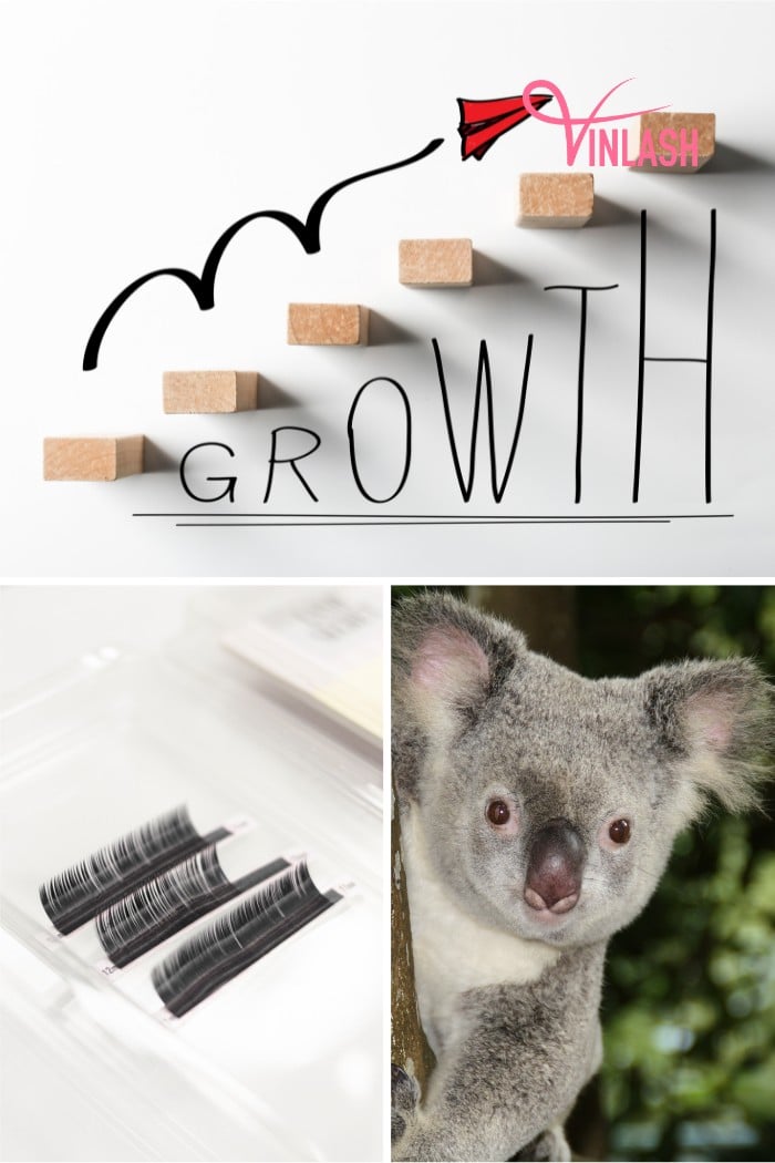 Overview of the lash wholesale Australia industry