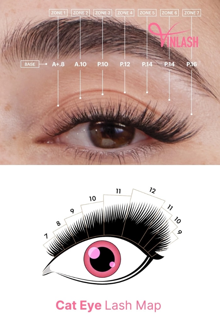 Cat Eye Lash Map